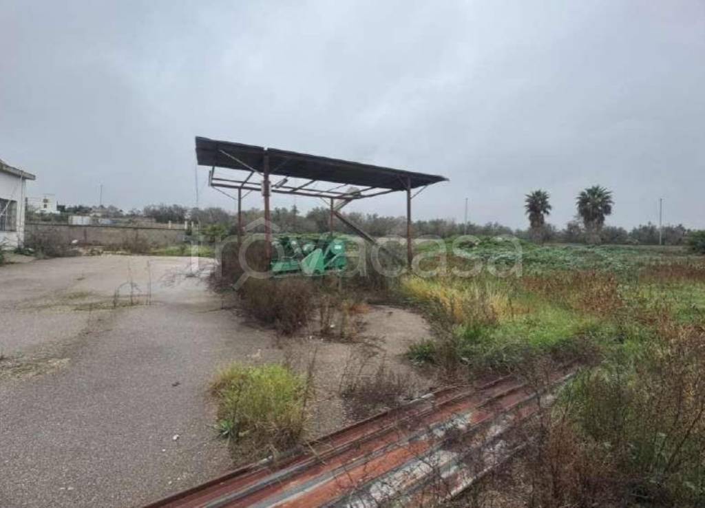 immagine annuncio 7 di 12