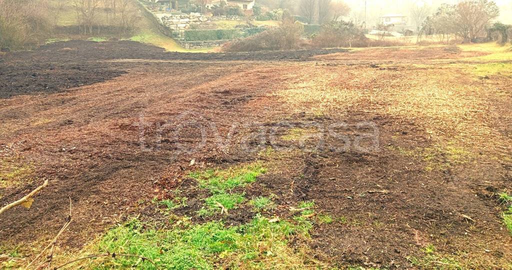 immagine annuncio 12 di 14