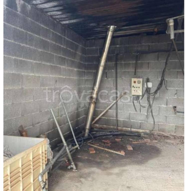 immagine annuncio 9 di 12