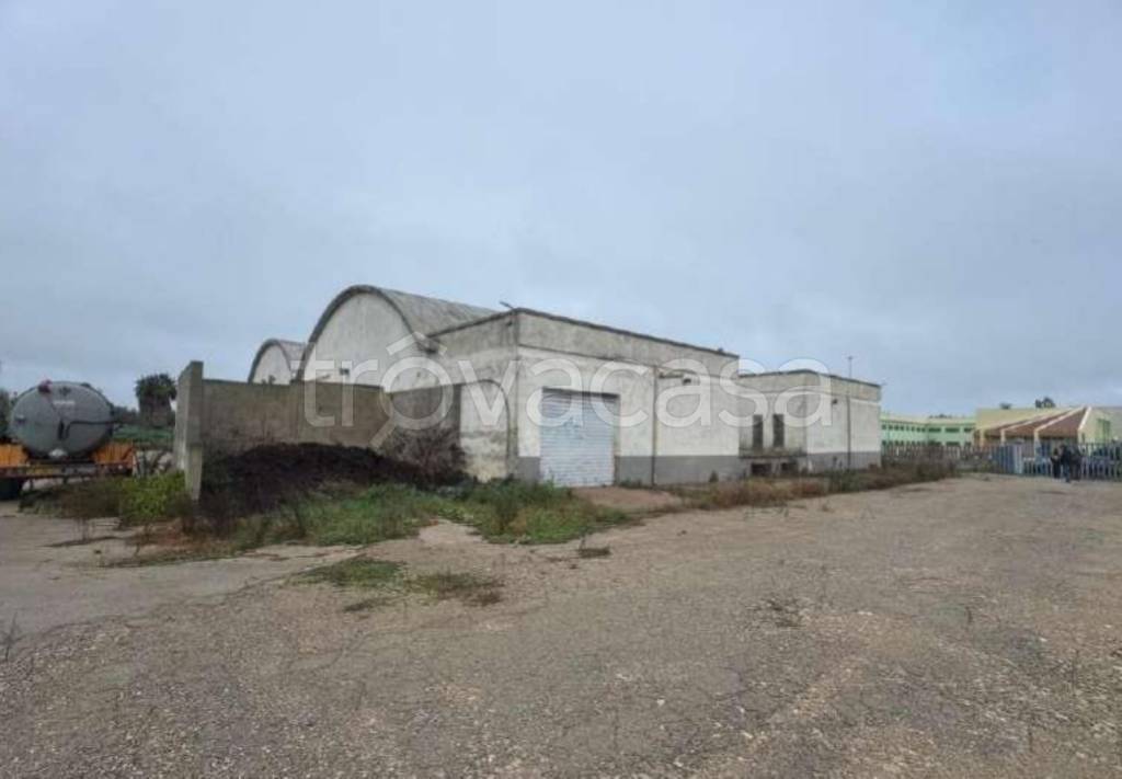 immagine annuncio 10 di 12