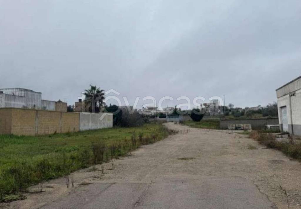 immagine annuncio 11 di 12