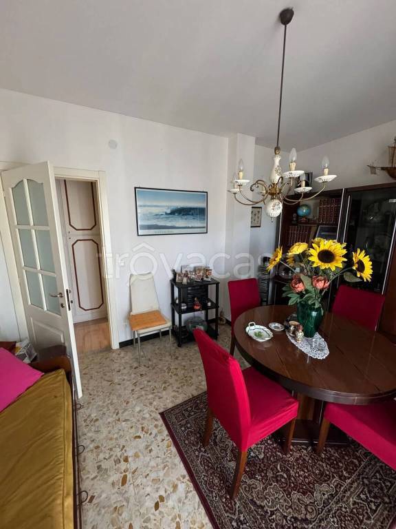 immagine annuncio 6 di 12