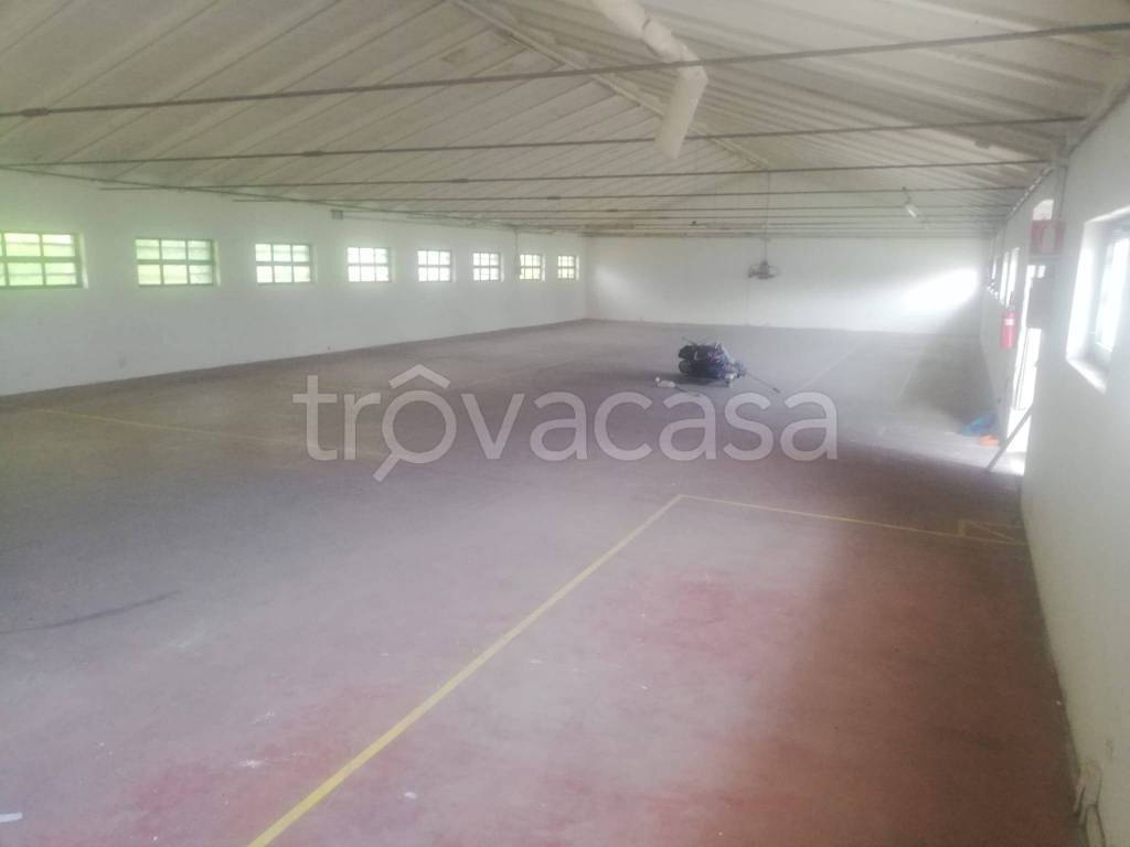 immagine annuncio 2 di 4