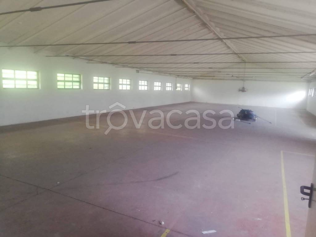 immagine annuncio 3 di 4