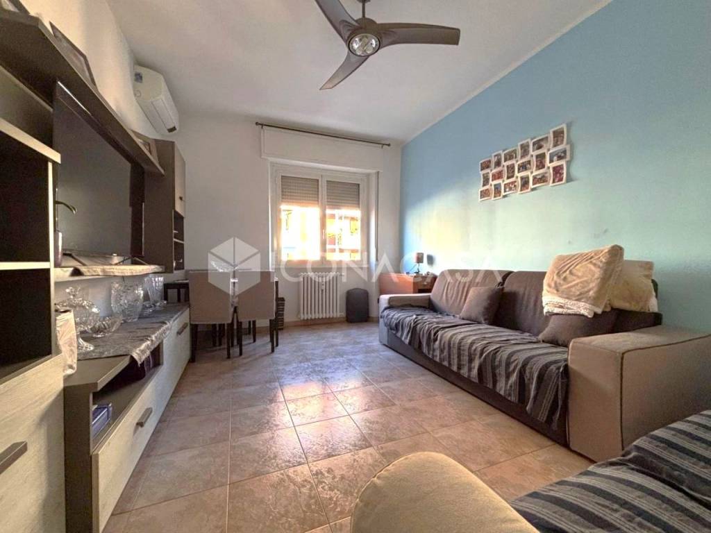 immagine annuncio 1 di 14