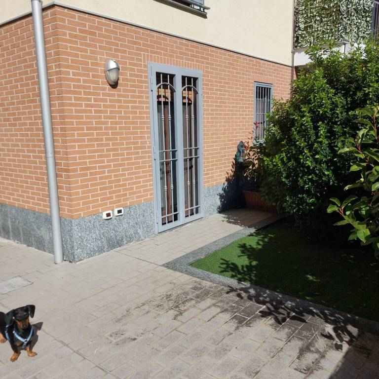 immagine annuncio 10 di 15