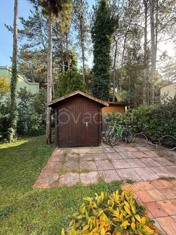 immagine annuncio 7 di 9