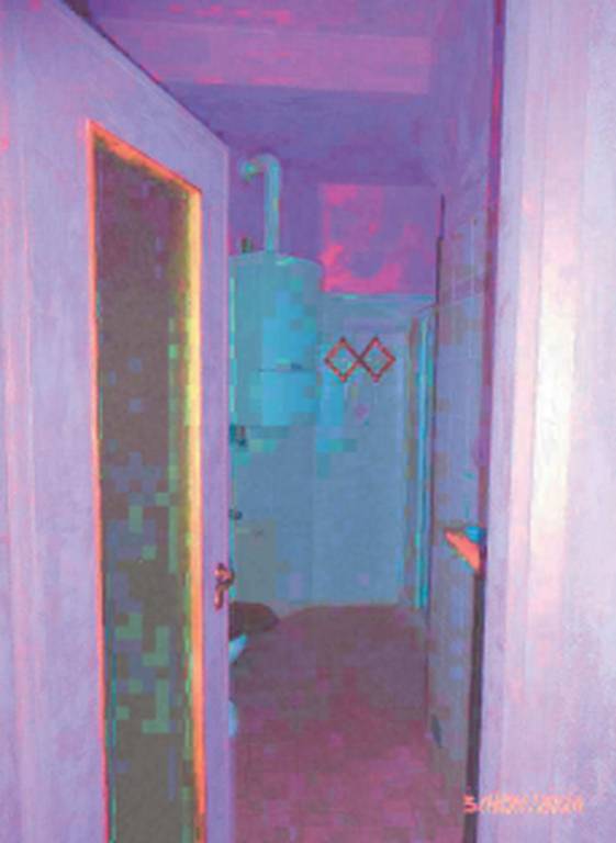 immagine annuncio 6 di 11