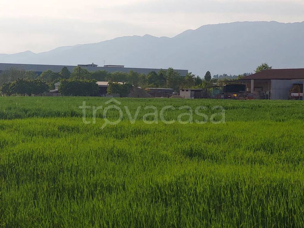 immagine annuncio 4 di 9