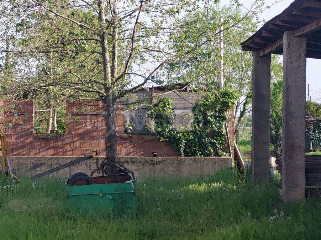 immagine annuncio 5 di 9