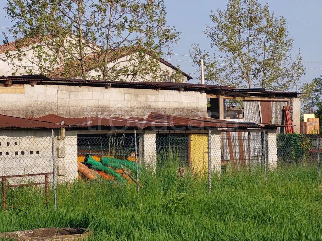 immagine annuncio 6 di 9