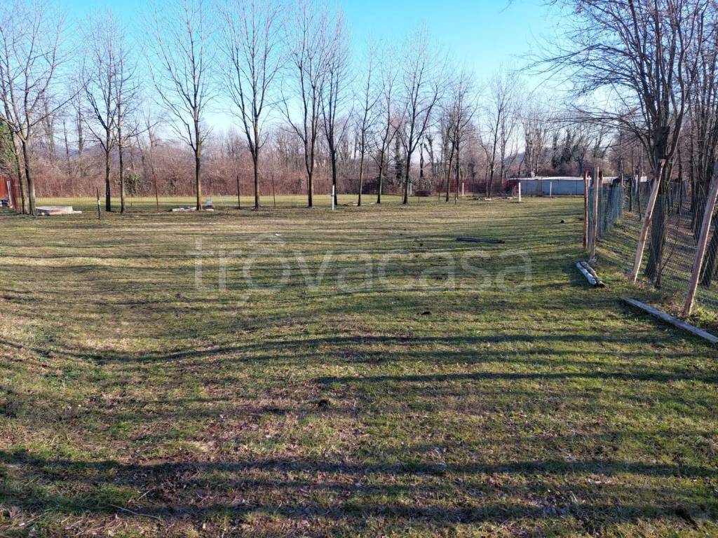 immagine annuncio 3 di 8