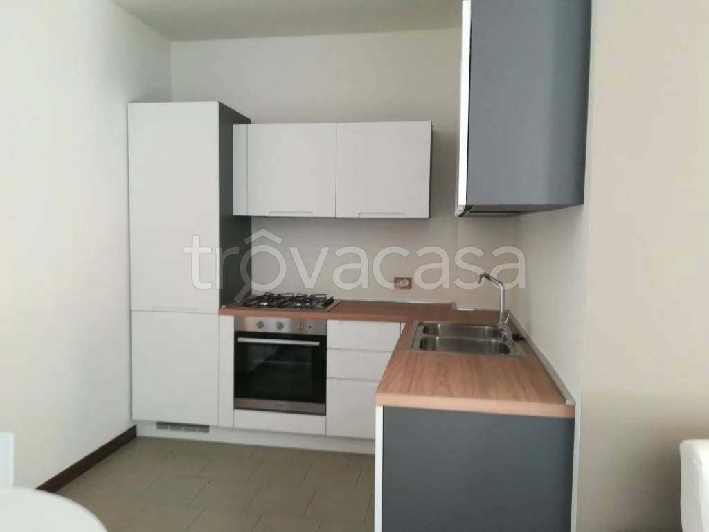 immagine annuncio 3 di 12