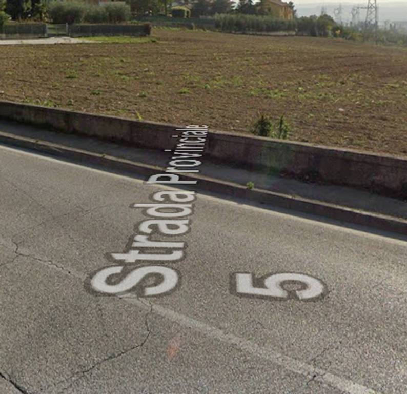 immagine annuncio 2 di 11