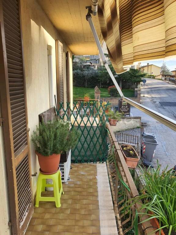 immagine annuncio 3 di 14