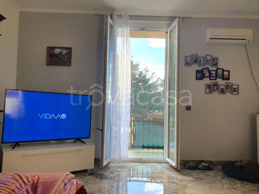 immagine annuncio 10 di 14