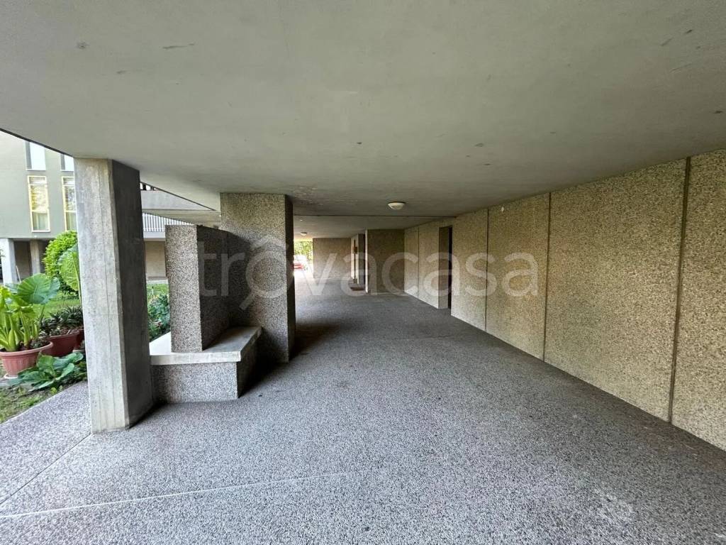 immagine annuncio 2 di 12