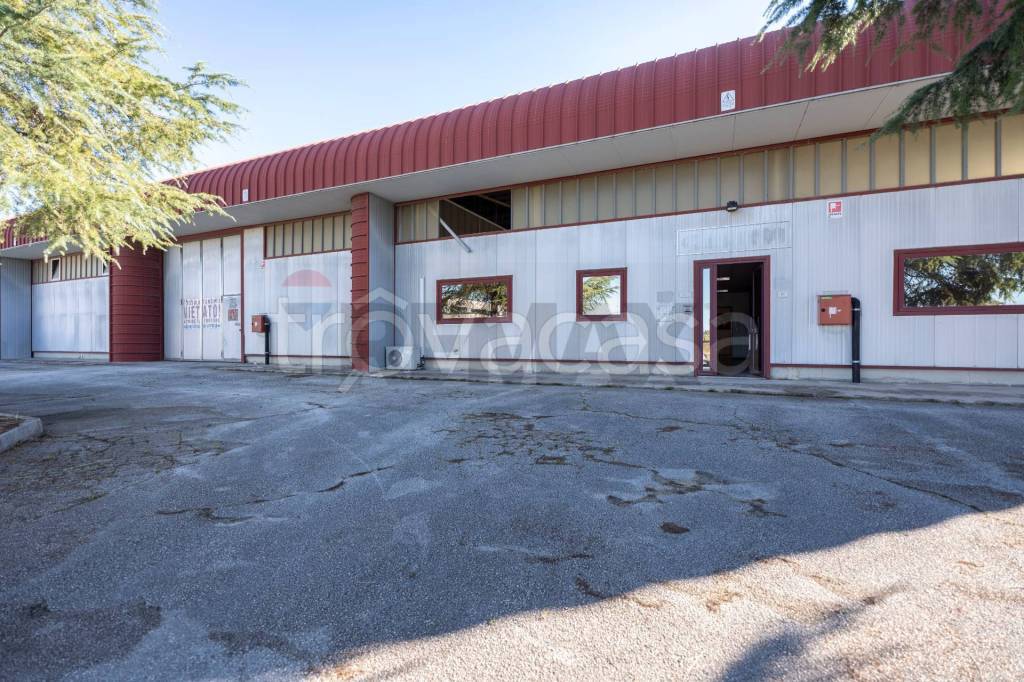 immagine annuncio 4 di 15