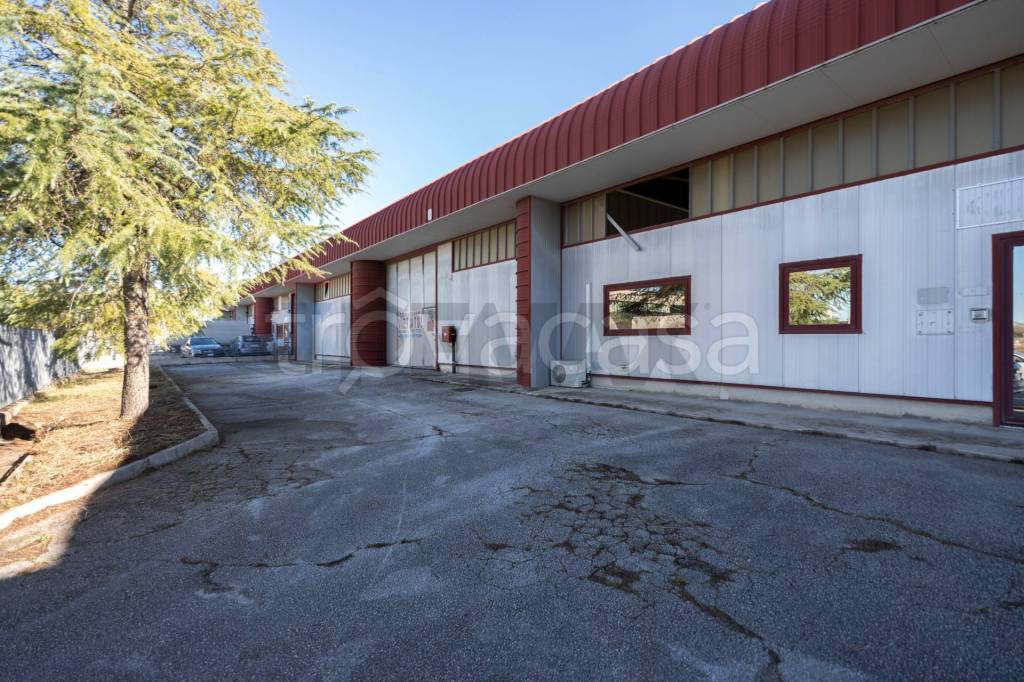 immagine annuncio 5 di 15