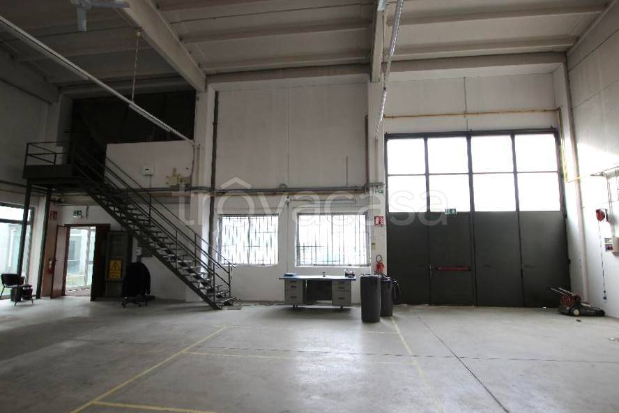 immagine annuncio 9 di 15