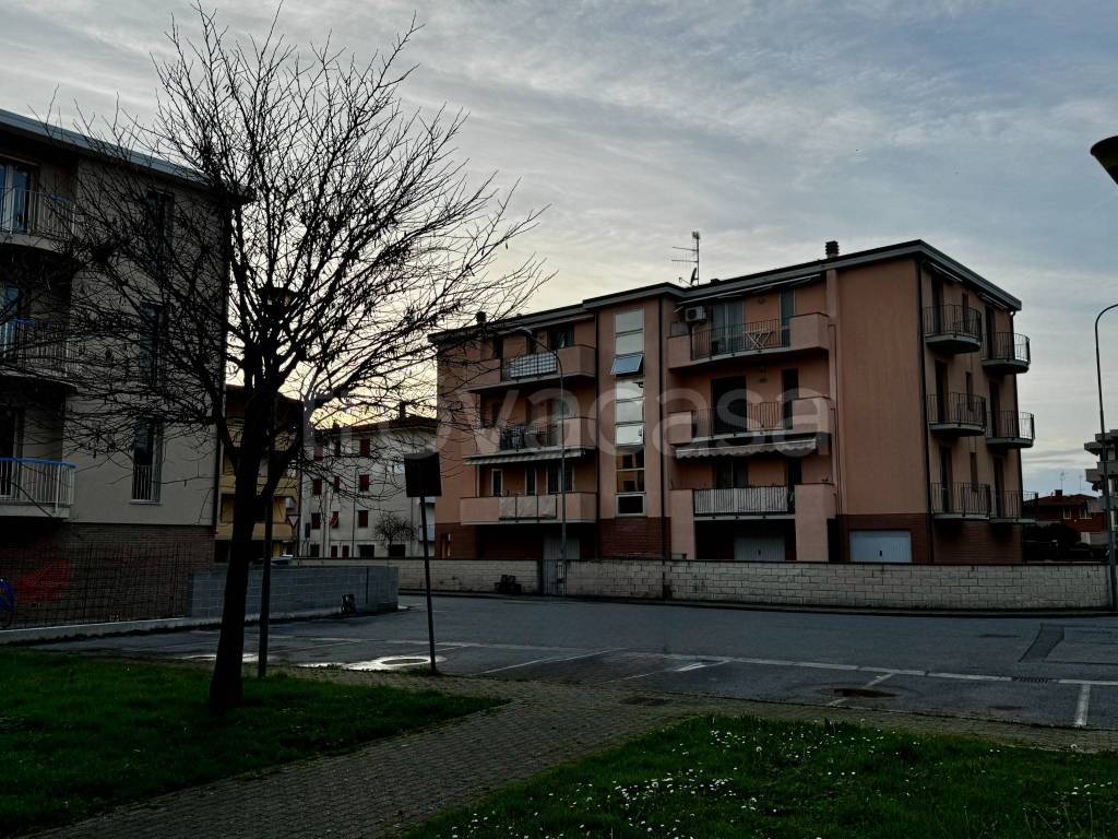 immagine annuncio 6 di 15