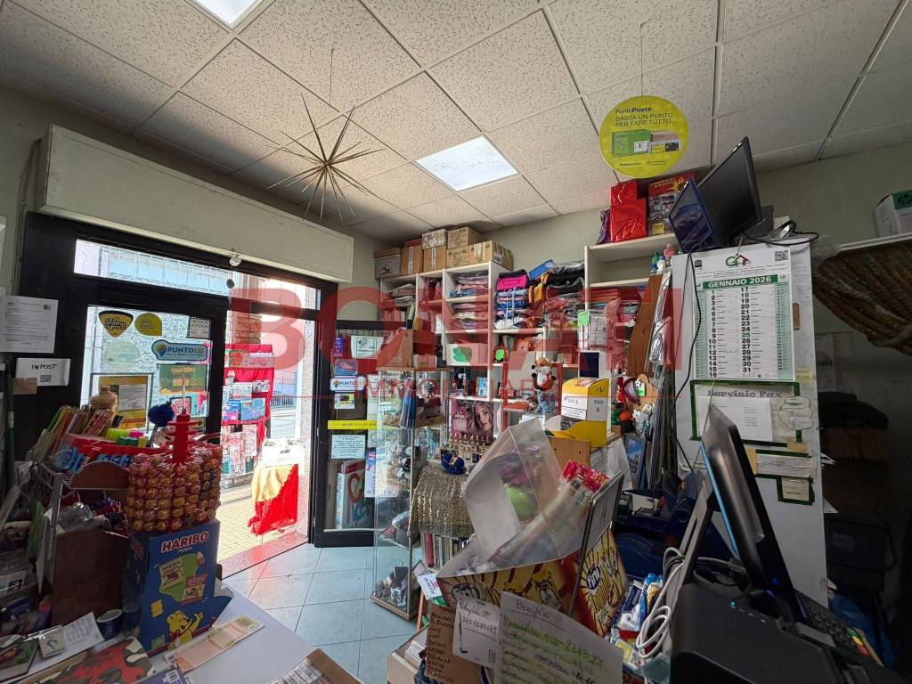 immagine annuncio 3 di 8