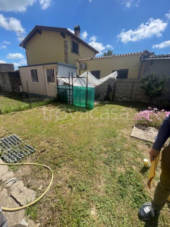 immagine annuncio 2 di 11