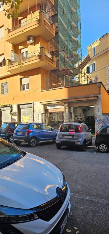 immagine annuncio 2 di 13