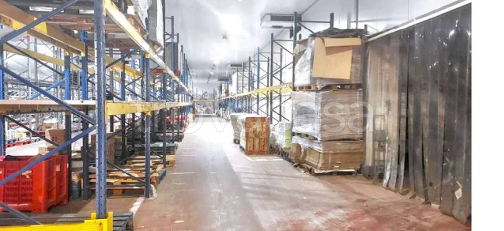 immagine annuncio 5 di 12