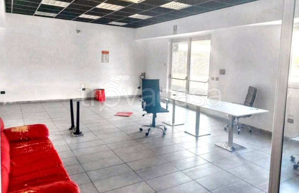 immagine annuncio 6 di 12