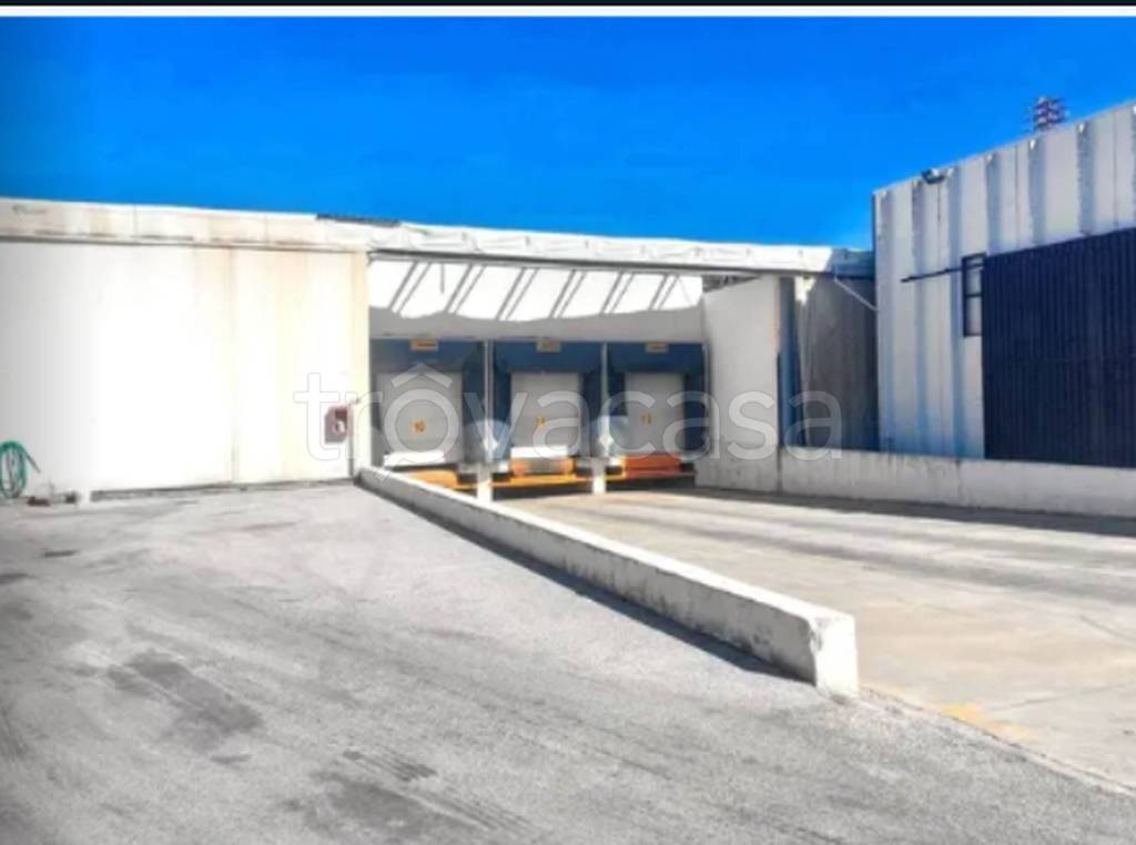 immagine annuncio 10 di 12