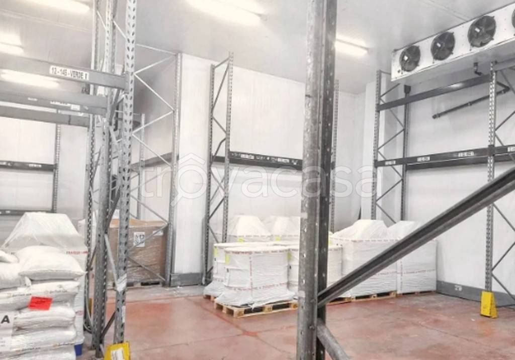 immagine annuncio 11 di 12