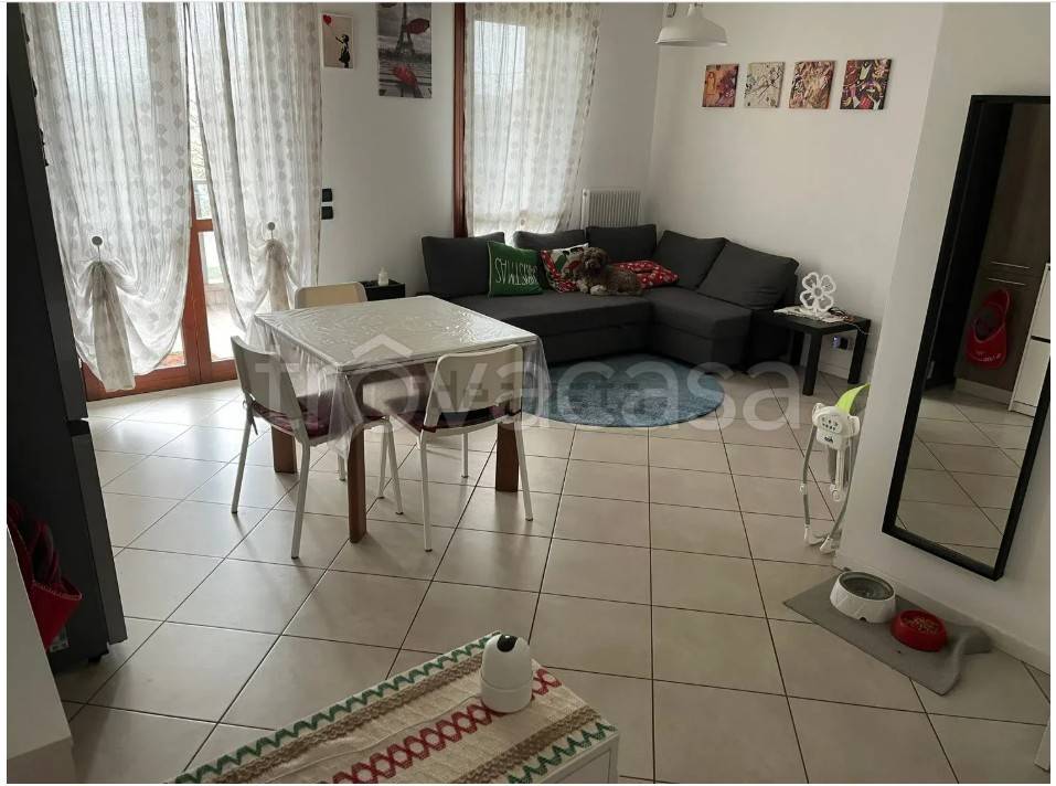 immagine annuncio 3 di 8