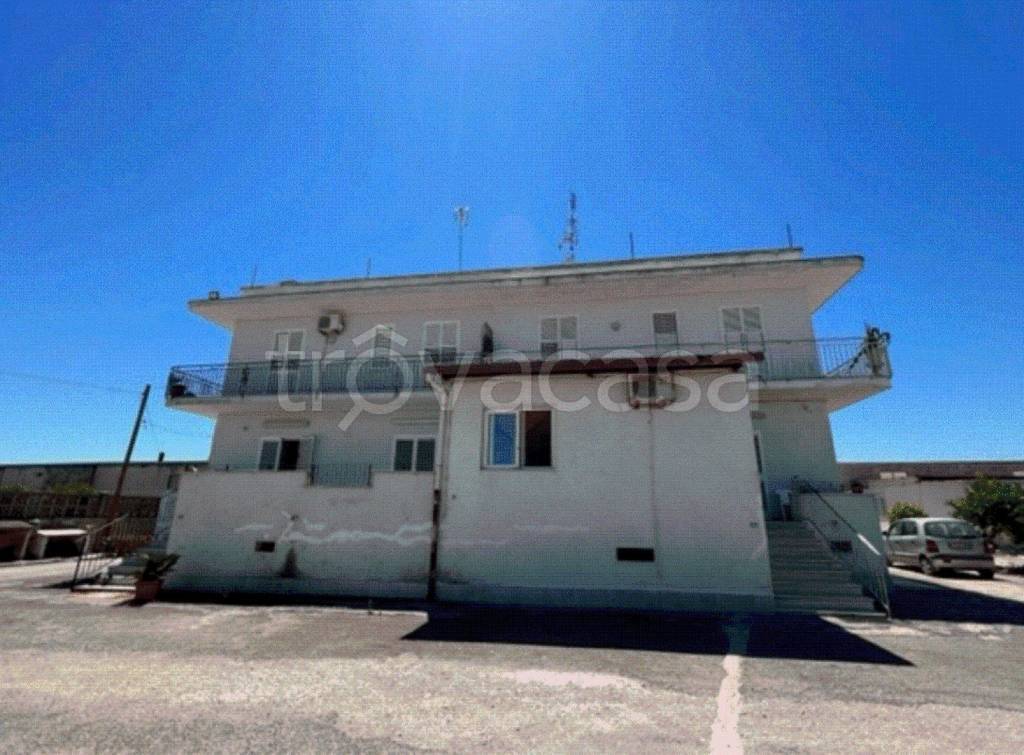 immagine annuncio 9 di 11