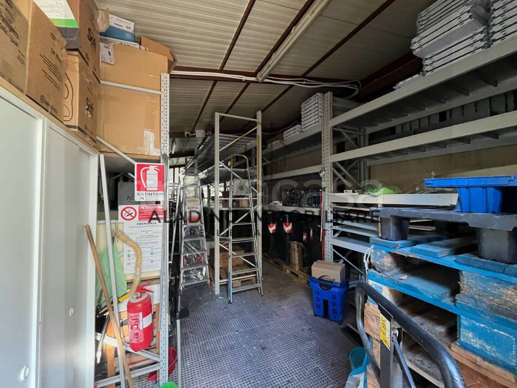 immagine annuncio 8 di 12