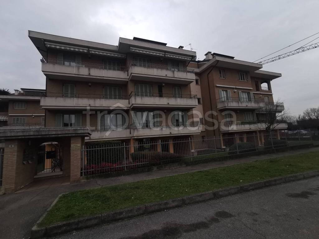 immagine annuncio 7 di 15