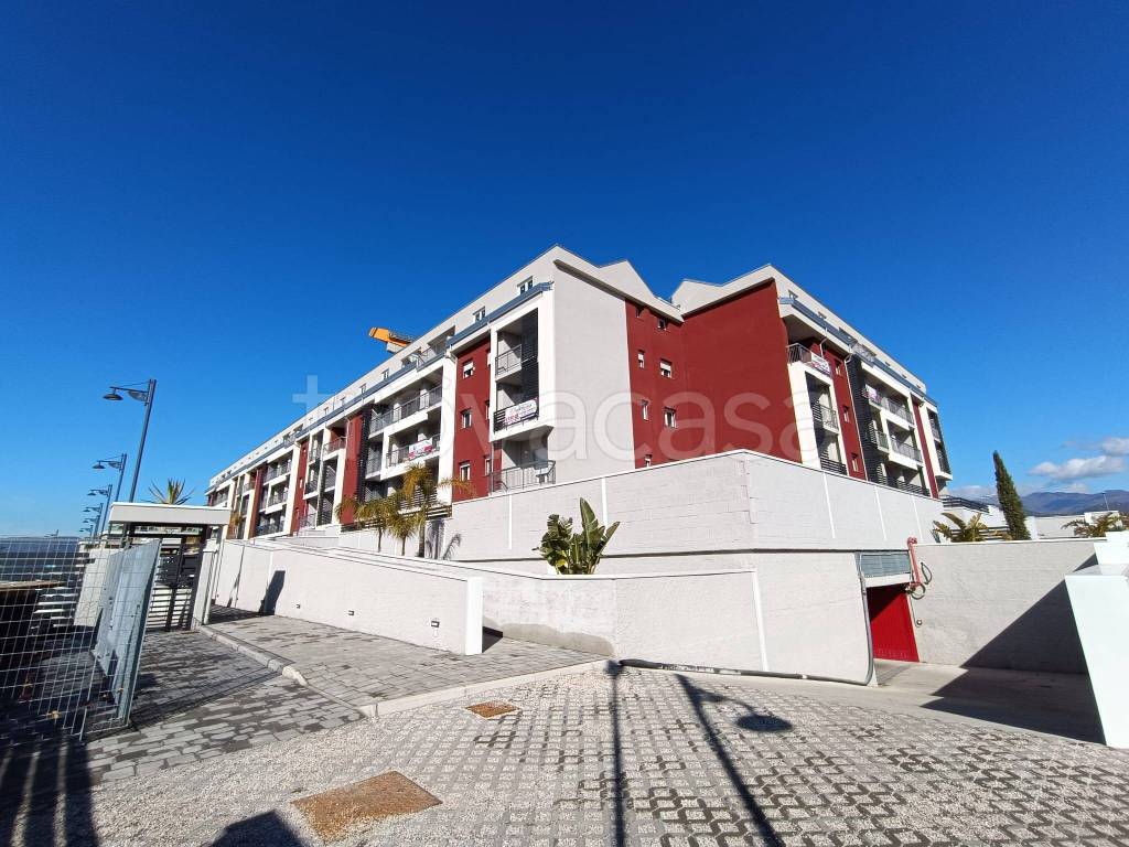 immagine annuncio 10 di 11