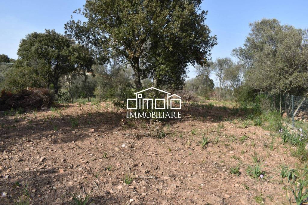 immagine annuncio 6 di 14