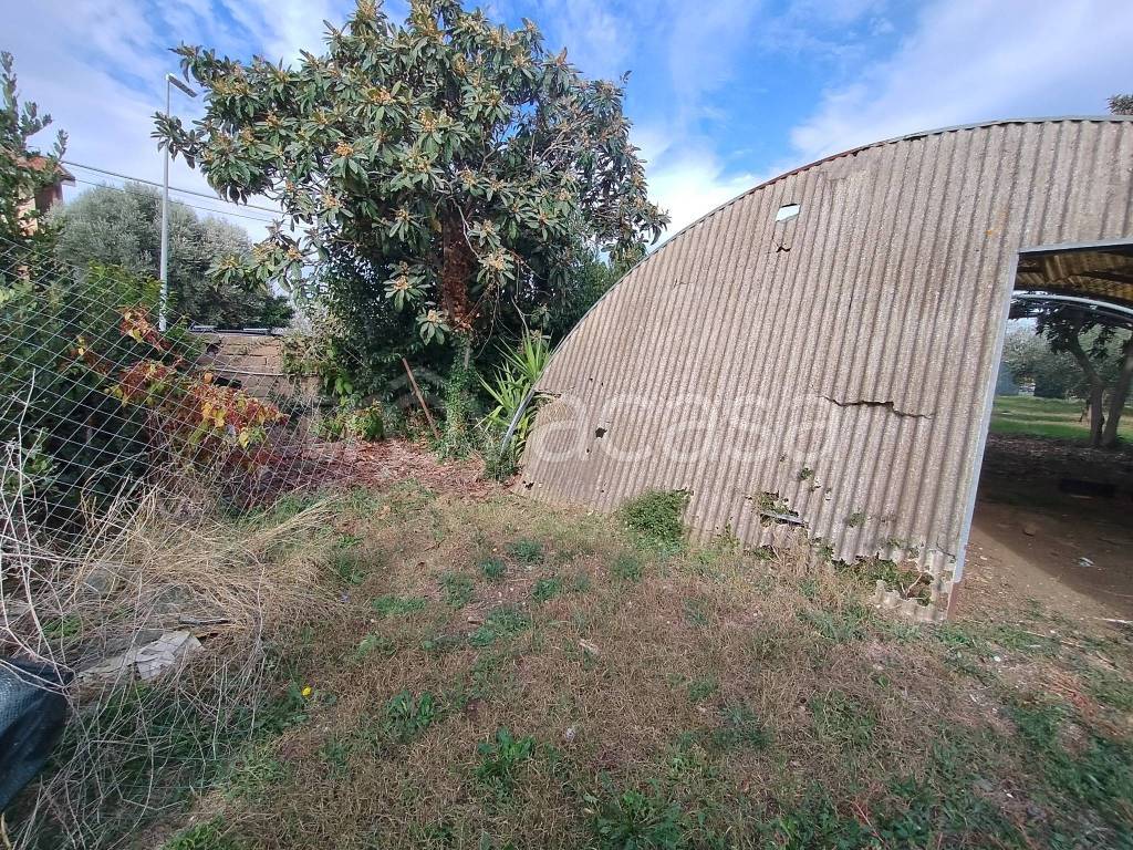 immagine annuncio 2 di 3