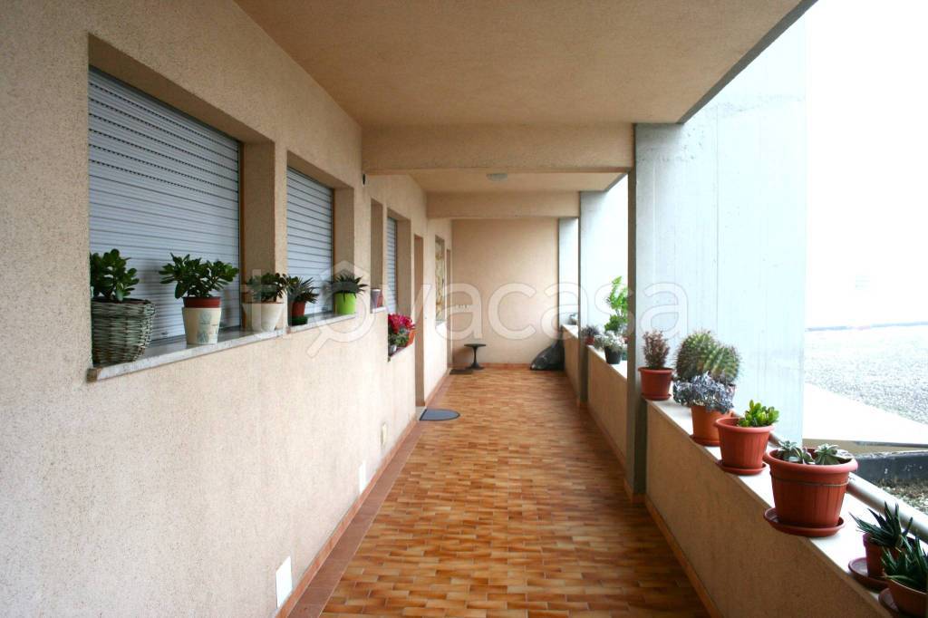 immagine annuncio 6 di 7