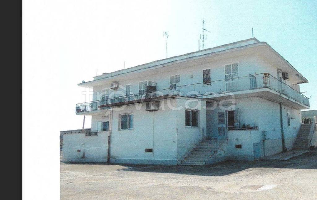 immagine annuncio 10 di 12