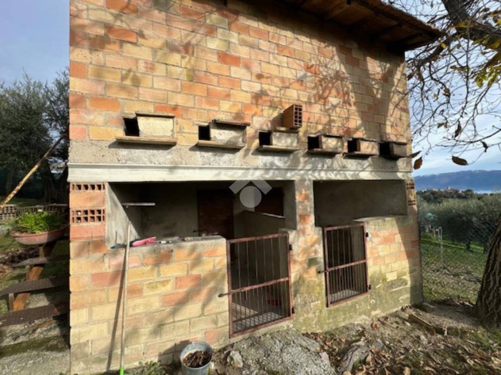 immagine annuncio 6 di 10