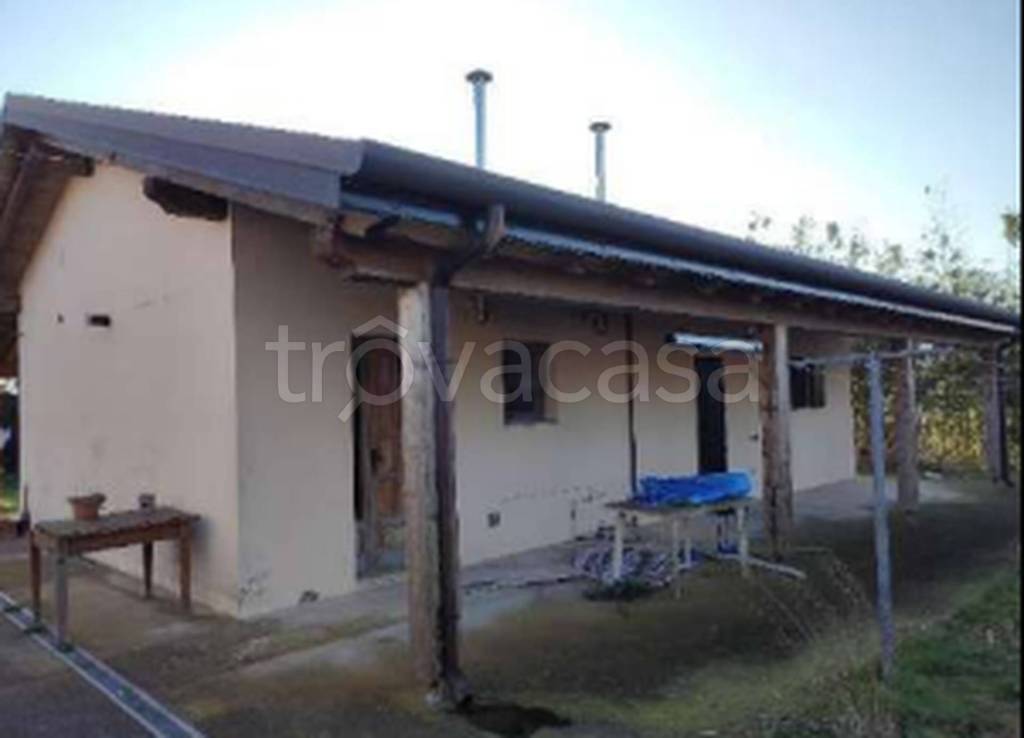 immagine annuncio 8 di 11