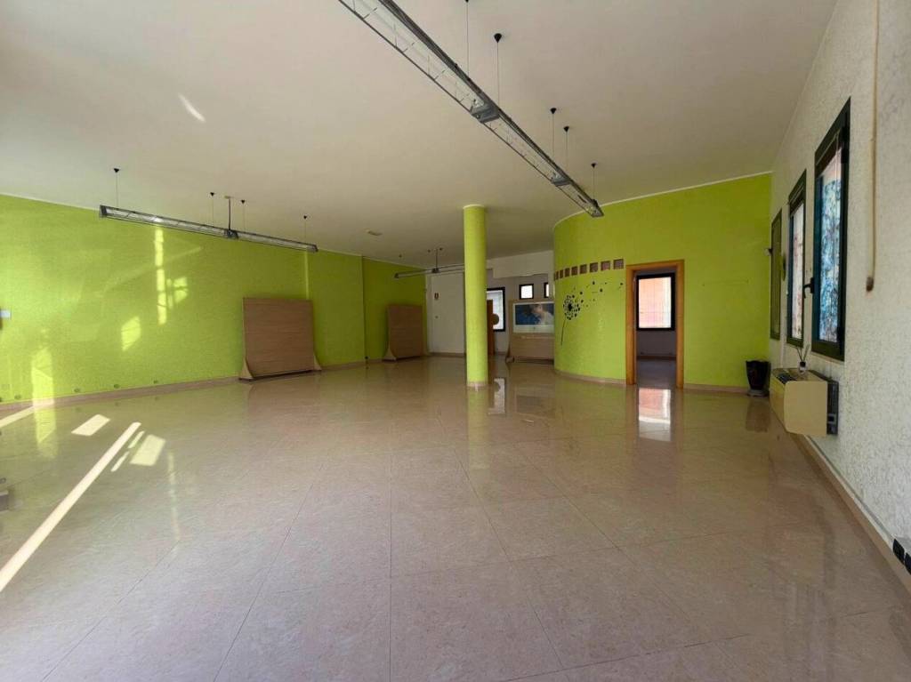 immagine annuncio 6 di 14