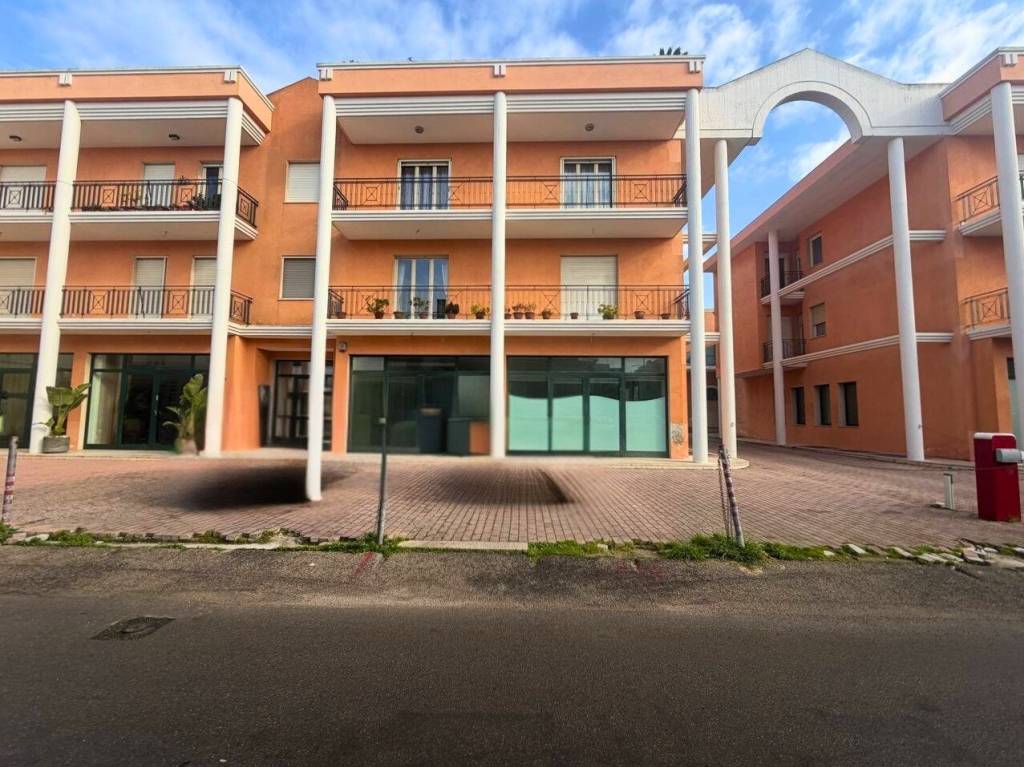 immagine annuncio 1 di 14