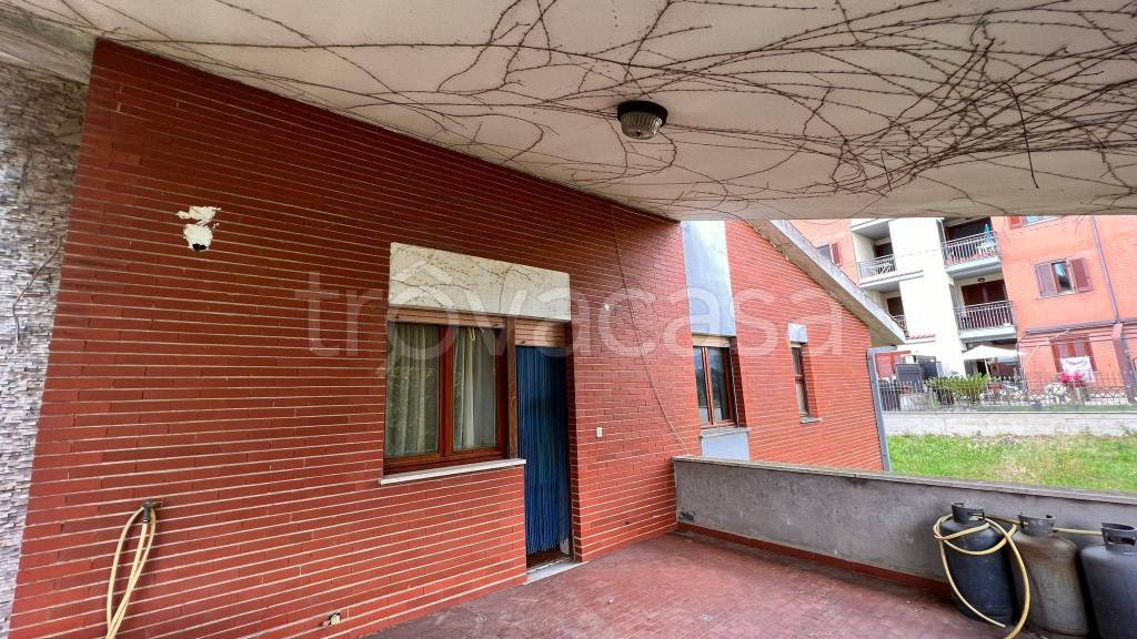 immagine annuncio 11 di 15