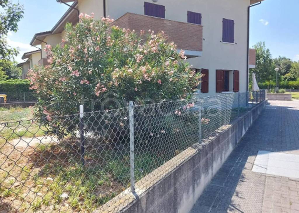 immagine annuncio 8 di 11