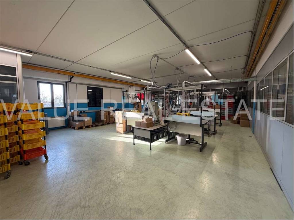 immagine annuncio 5 di 15