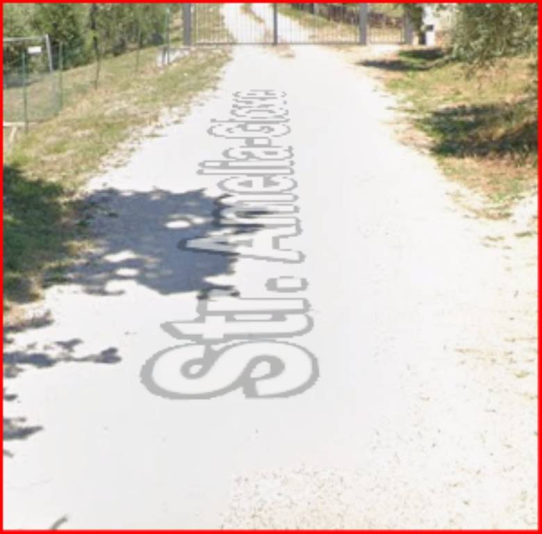 immagine annuncio 6 di 12