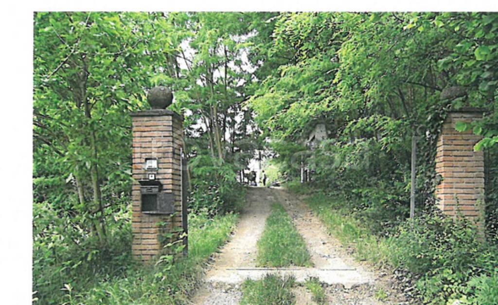 immagine annuncio 11 di 13